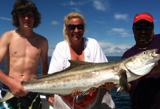 Cobia fishing in March