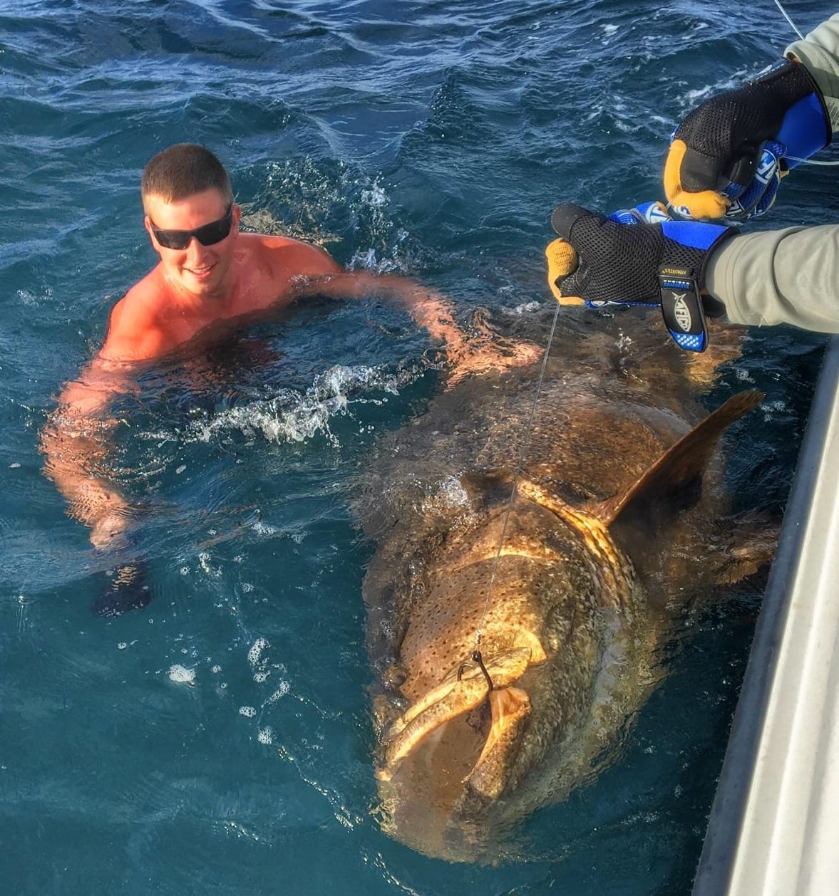 Goliath Grouper Fishing in Clearwater