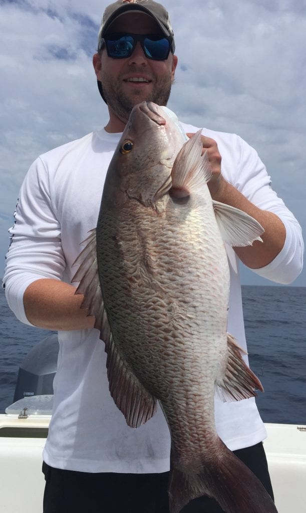 Mangrove Snapper Pictures | FishEye Sportfishing
