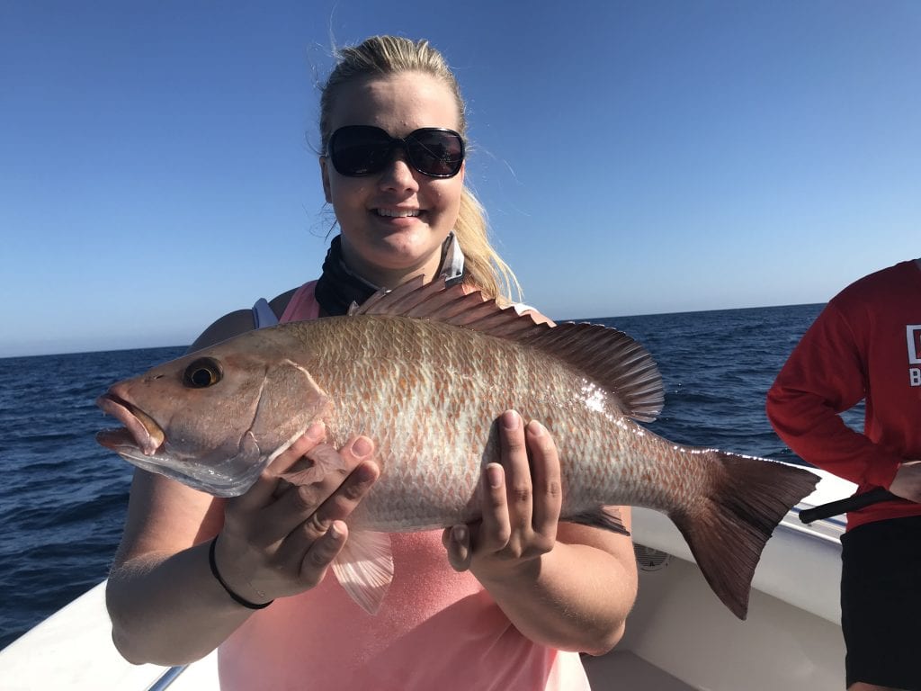 Mangrove Snapper Pictures | FishEye Sportfishing